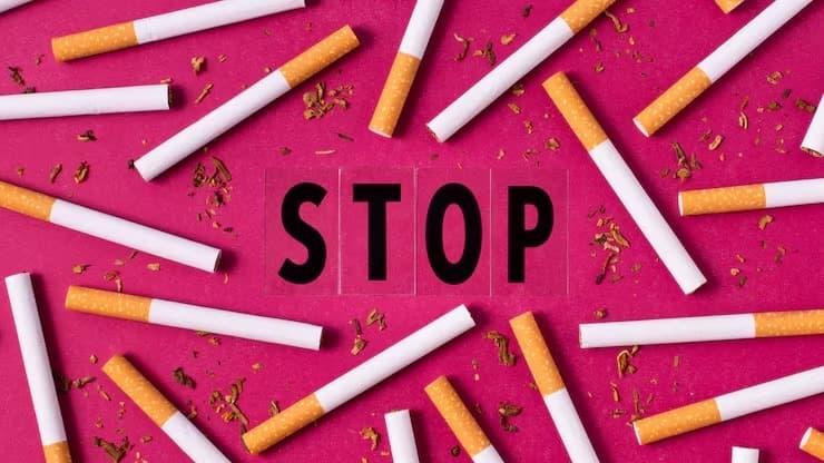 trực tiếp đá gà campuchia canlı yayın rehberi ve boss reserve salt likit inceleme ve kullanım önerileri