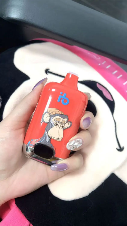 En İyi Elektronik Sigara için Pil Şarj Aleti Seçenekleri