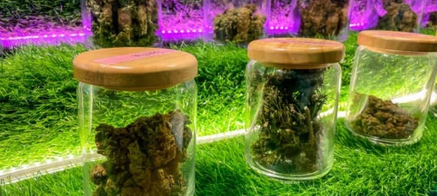 Uwell Koko ile E-Cigaretta Bolt Ürünleri ve Modern Vape Deneyimi E-Cigaretta Bolt Kalitesiyle Uwell Koko Modelleri