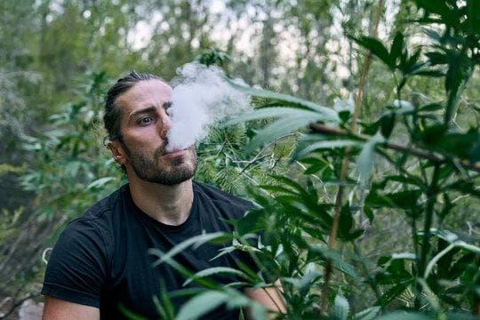 IBVape Shop'ta big boss salt likit incelemesi ve kampanya önerileriyle en iyi tercih rehberi